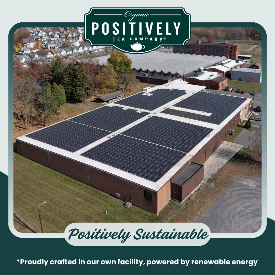 Organic Positively Tea Company, Very Berry Citrus, Herbal Tea, Loose Leaf, 16 Ounce