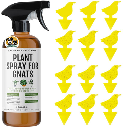 Kate's Home & Garden Plant Spray for Insects & Getting Rid of Gnats with 12 Sticky Traps. Fungus Gnat Killer & Bug Spray for Indoor Plants (16oz, Pet Safe, Non Toxic)