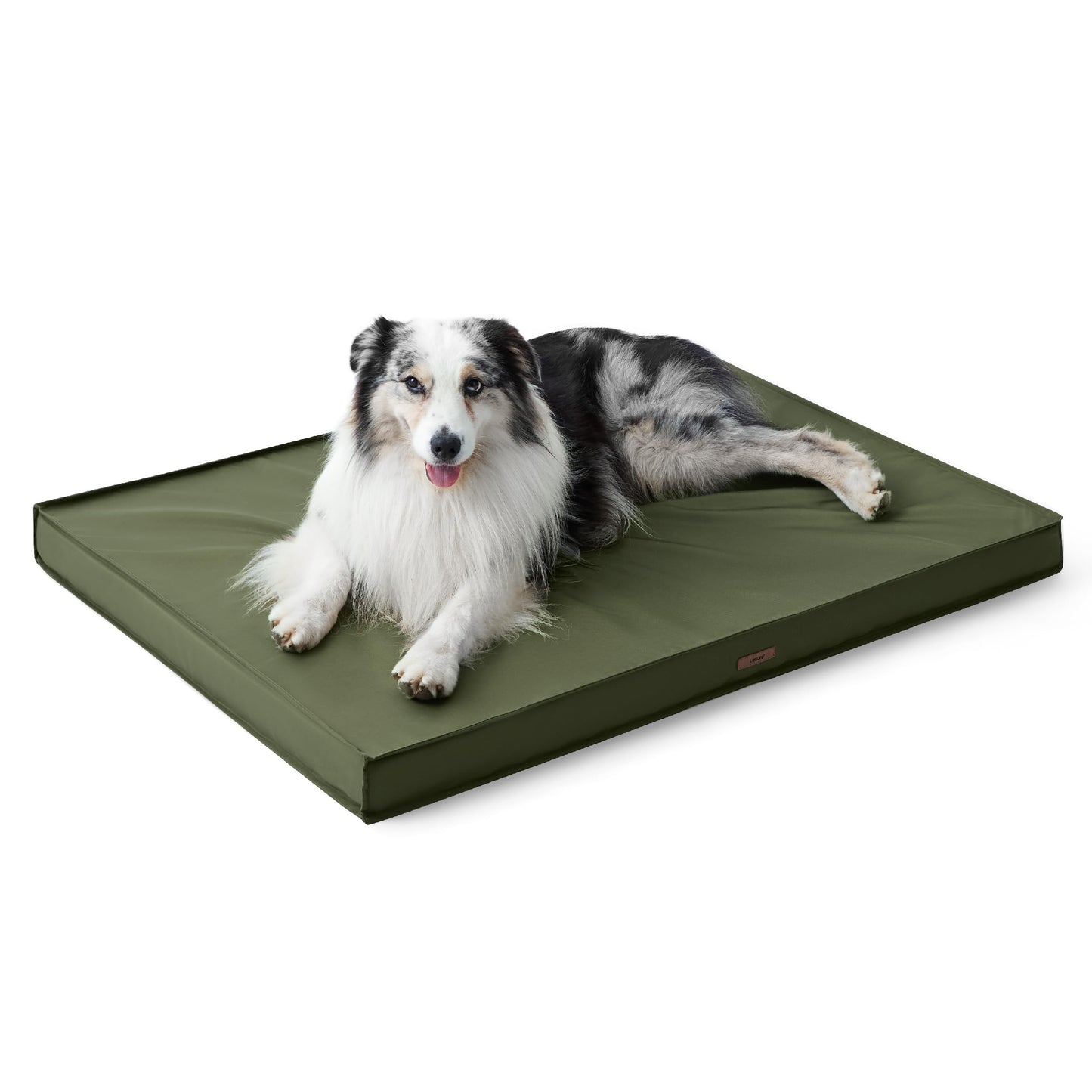 LE SURE Outdoor Waterproof Dog Beds Large Sized Dog, Orthopedic Egg Crate Foam Pet Bed with Oxford Fabric Surface and Removable Washable Cover, Pet Mat 36''x27'', Green