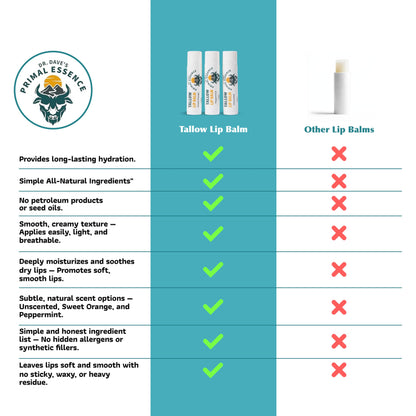 Moisturizing Tallow Lip Balm – Grass-Fed Beef Tallow with Organic Coconut Oil, Beeswax, and Vitamin E – Sweet Orange – Lip Balm Set – Travel Essential – 3-Pack