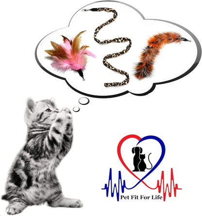 Pet Fit For Life 3 Piece Dual Rod Feather Teaser and Exerciser with a Slithering Snake for Kitten and Cats - Cat Toy Interactive Cat Wand