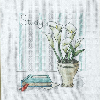 LE PAON 48 Crochet Thread Set Balls 100% Long-Staple Cotton Rainbow Colors of Size 8 Threadand Free 30 Golden Needles 48 Balls for Crochet Hardanger Cross Stitch Needlepoint Hand Embroidery