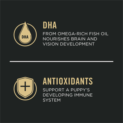 Purina Pro Plan Large Breed Dry Puppy Food, Chicken and Rice Formula - 47 lb. Bag