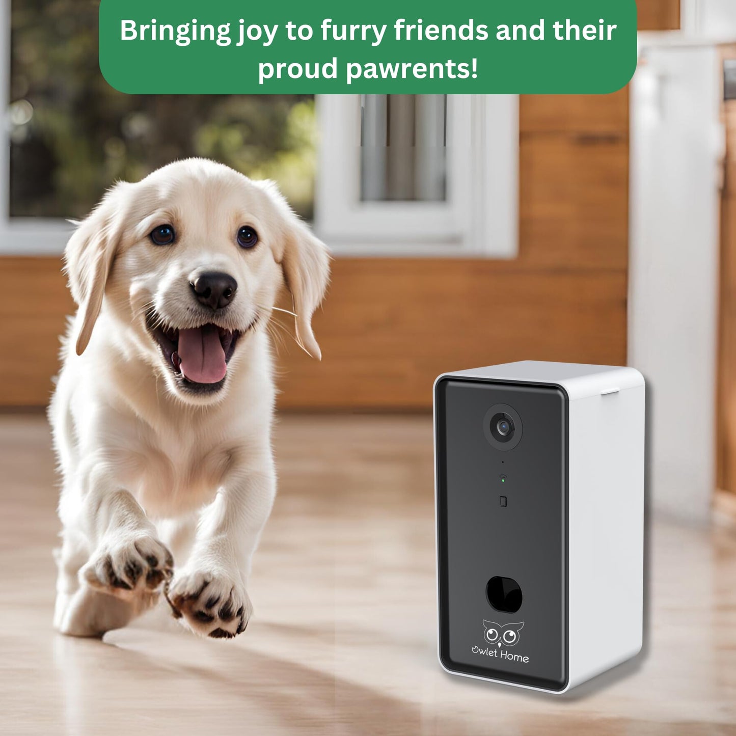 Owlet Home Pet Camera with Treat Dispenser/Tossing for Dogs/Cats, Smart Dog/Cat Camera, Free App, 2.4G & 5G WiFi, 1080P HD Live Video, Auto Night Vision, 2-Way Audio, Motion Alert, No Monthly Fee