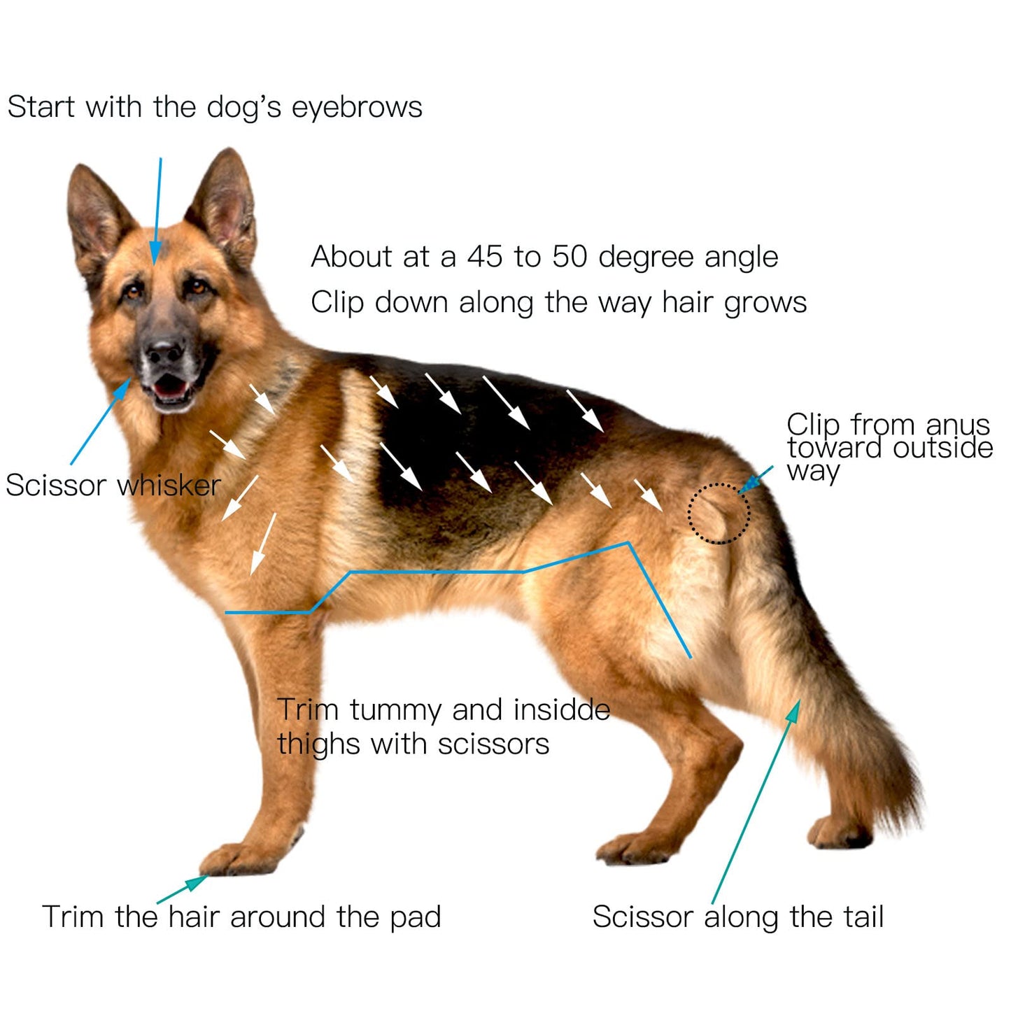 JiangWaveT Dogs Hair Trimmer, Dogs Shaver Clippers Grooming Kit - Low Noise Cordless Rechargeable Dog & Cat Horses Clippers, Heavy Duty, Quie