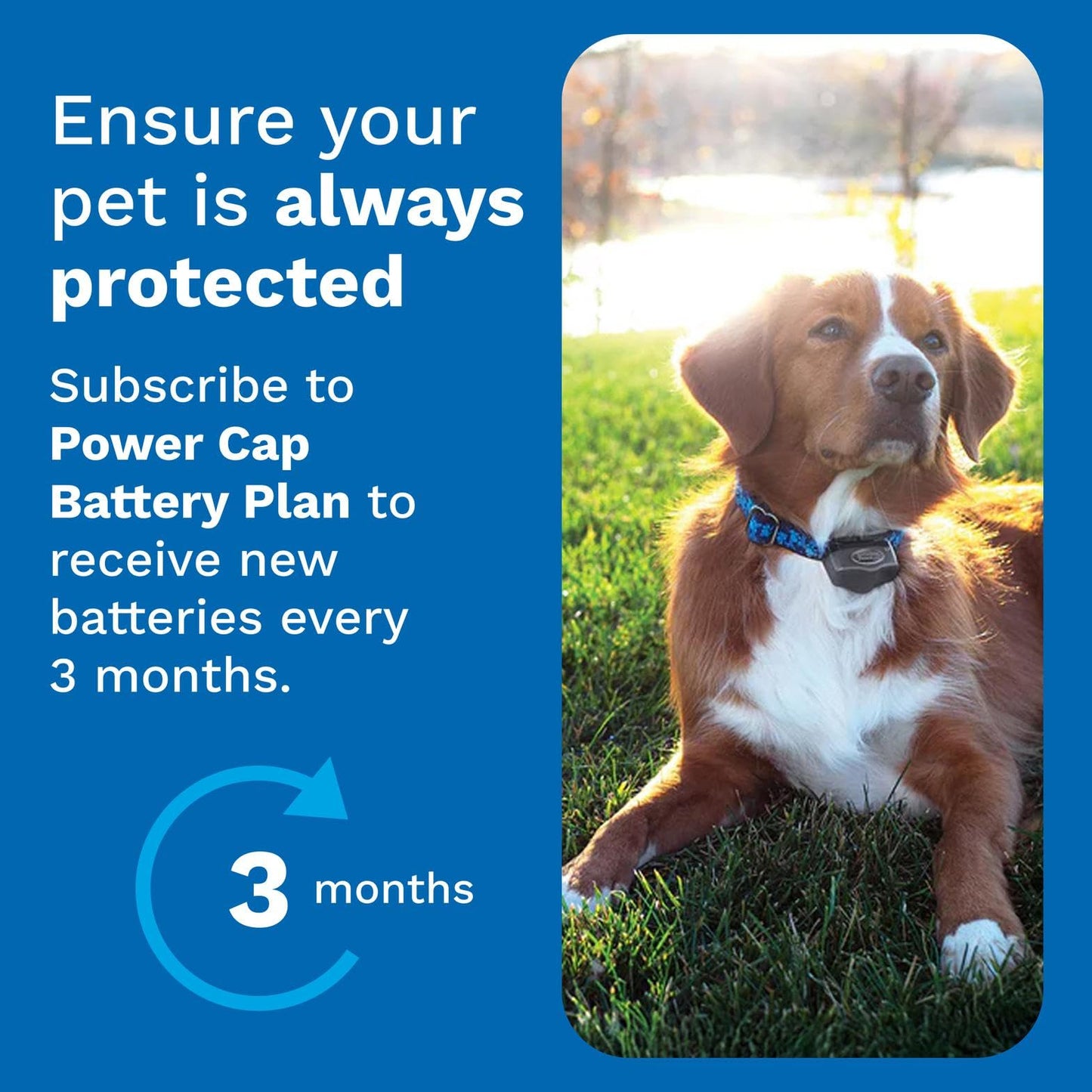 Invisible Fence Power Cap Battery; Battery for (2-Pack) Electric Collar Batteries for Dog Collars Original Brand Product, Dog Collar