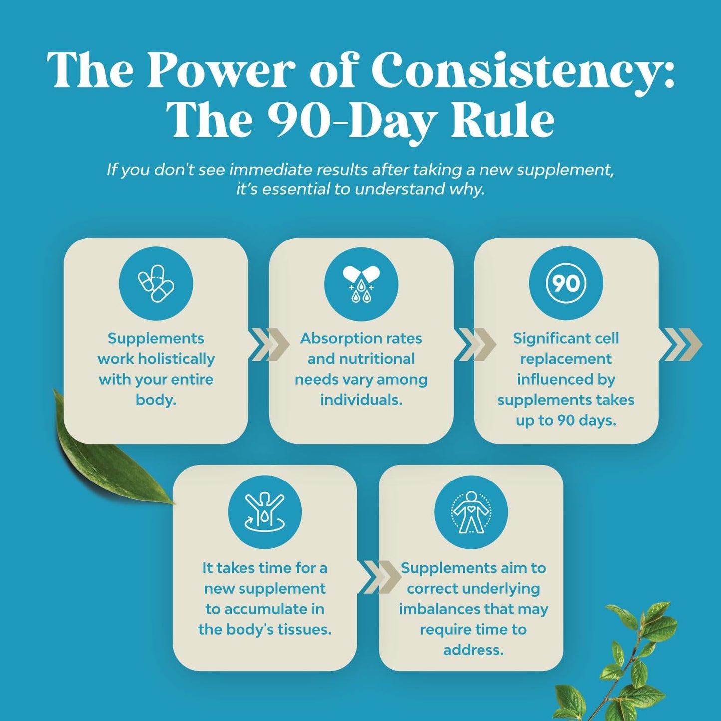 Nootropic Brain Supplement for Memory and Focus Support - Vitamins for Mental Health & Clarity with Bacopa Monnieri, VIT A, B6, Riboflavin, Niacin, Thiamin & Folate - Cognitive Complex - 90 Ct