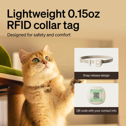 PETLIBRO Upgraded RFID Automatic Cat Feeder, 5G Wi-Fi Automatic Pet Feeder, 3L Auto Cat Feeder App Control with Light Collar Tag, Tag Activated One Automatic Cat Food Dispenser 1-10 Meals Control