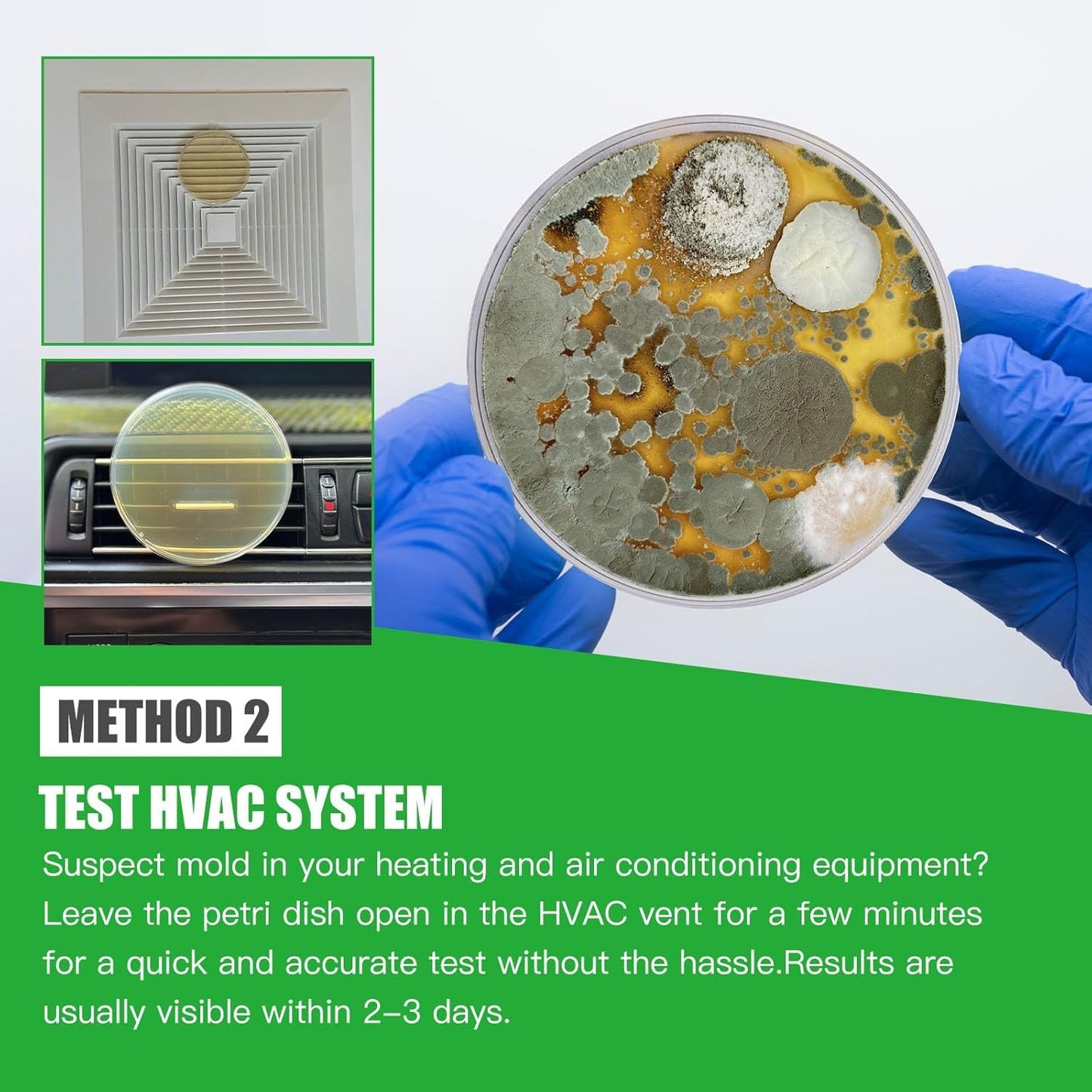 Mold Test Kit for Home Within 6 Individual Tests,DIY Detector at Home,Surface Mold,HVAC,Indoor Air Quality Testing Kits,Black Mold Testing,Includes Detailed Mold Identification Guide and Free Lab