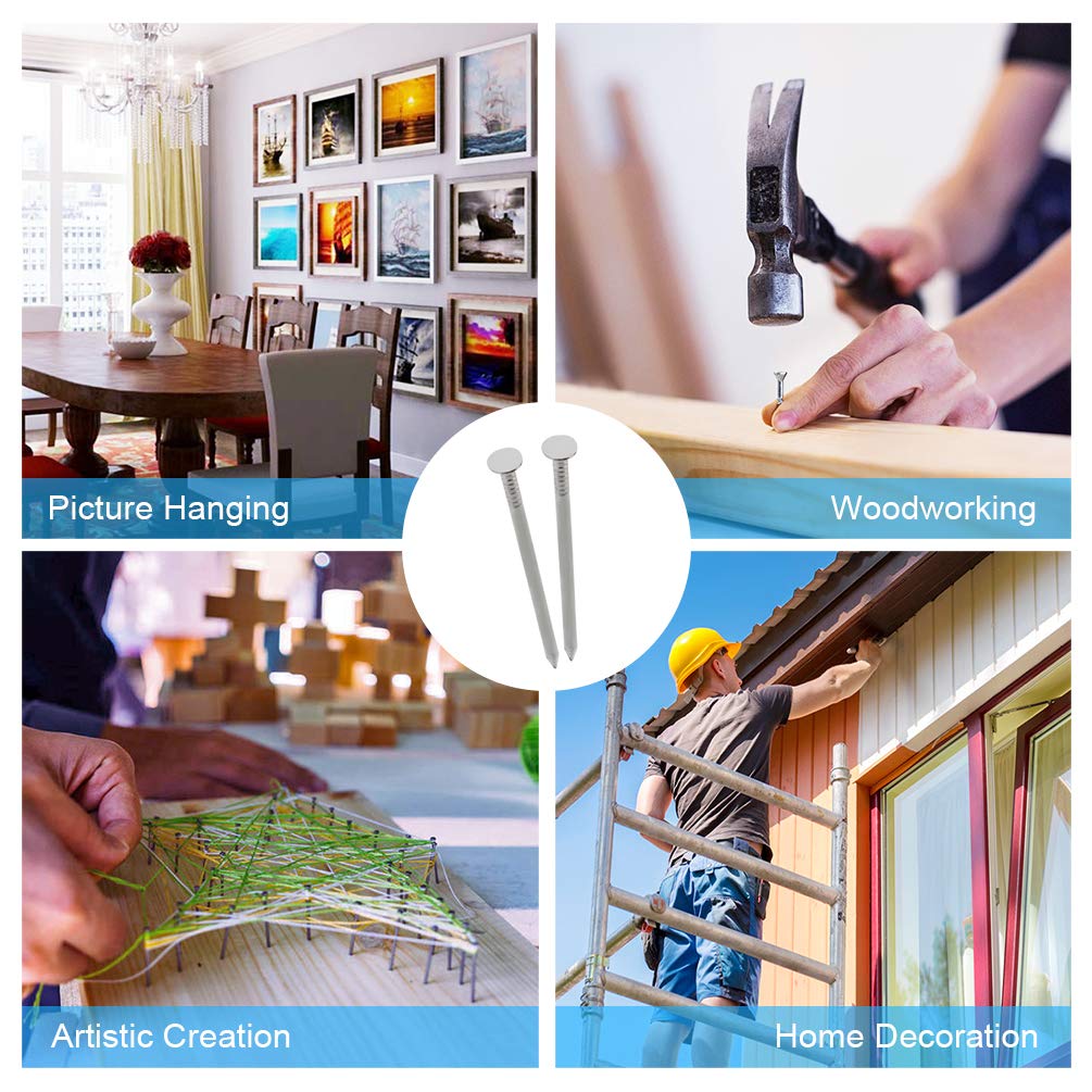 376pcs Premium Hardware Nails Assortment Kit, Maximum Length 2 Inches Galvanized, Picture Hanging, Wood, Wall With Storage Box | 6 Sizes