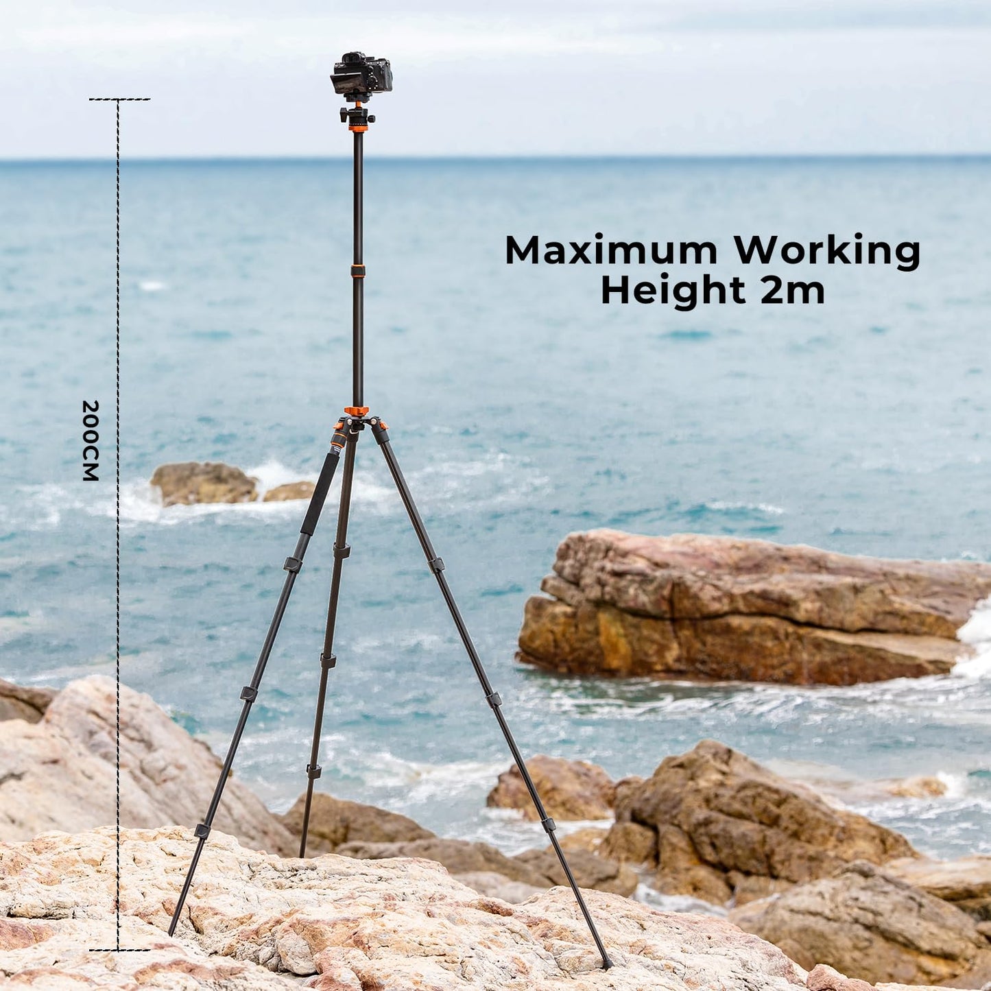 K&F Concept 78 inch Camera Tripod for DSLR Compact Aluminum Tripod with 360 Degree Ball Head and 10KG Load for Travel and Work K234A7+BH-28L (S210)