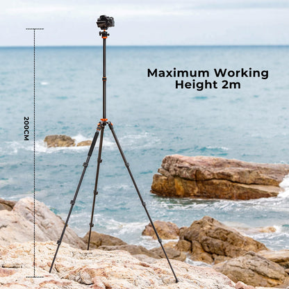 K&F Concept 78 inch Camera Tripod for DSLR Compact Aluminum Tripod with 360 Degree Ball Head and 10KG Load for Travel and Work K234A7+BH-28L (S210)
