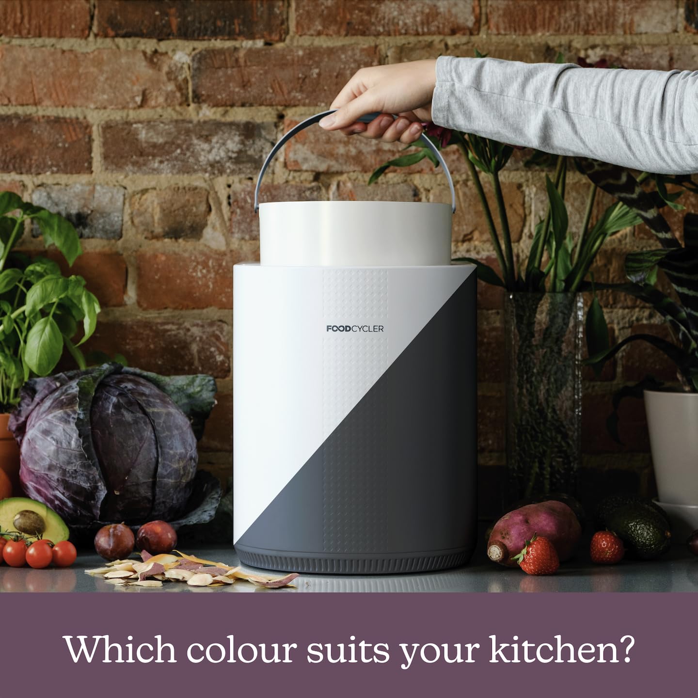 Food Cycler Eco 3 Compact Kitchen Food Recycler | Indoor Composter Bin Alternative | Electric Countertop Food Waste Disposer with Odorless 3.5L Indoor Food Waste Bin for Easy Waste Management | Grey