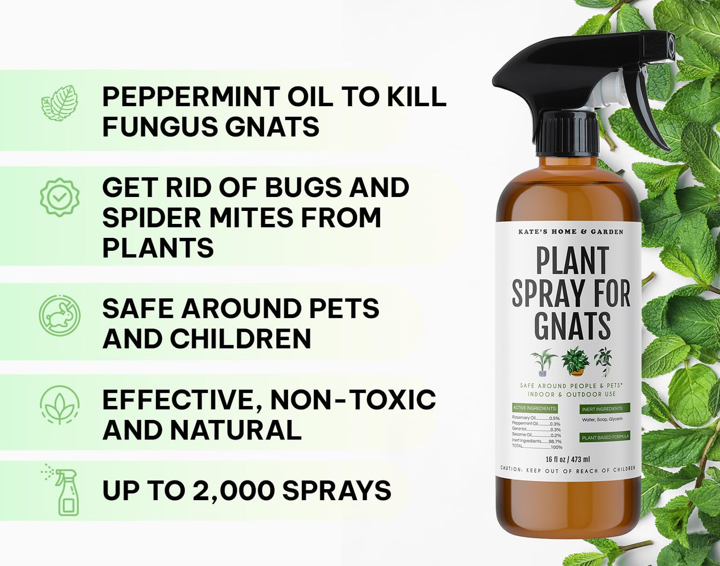 Kate's Home & Garden Plant Spray for Insects & Getting Rid of Gnats with 12 Sticky Traps. Fungus Gnat Killer & Bug Spray for Indoor Plants (16oz, Pet Safe, Non Toxic)