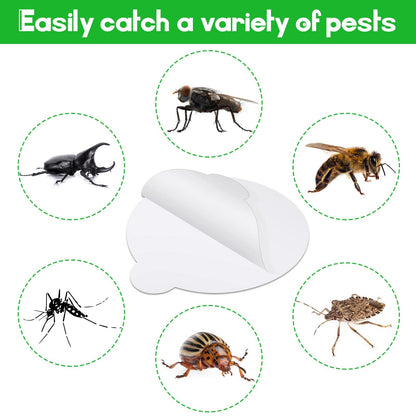 Kittmip 48 Pack 4.3 Inches Round Insect Trap Refillable Glue Boards Sticky Fruit Fly Trap Mosquito Fly Killer for Mosquitoes Fruit Flies Gnats Moths Fits Most Models Indoor Outdoor Lamp