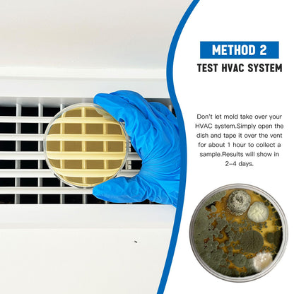 Mold Test Kit for Home -DIY Mold Testing Kit with 6 Individual Tests-Black Mold Detector-Indoor Air Quality Tester-Mold Identification Guide-Free Lab Analysis-Fast and Reliable Mold Detector at Home