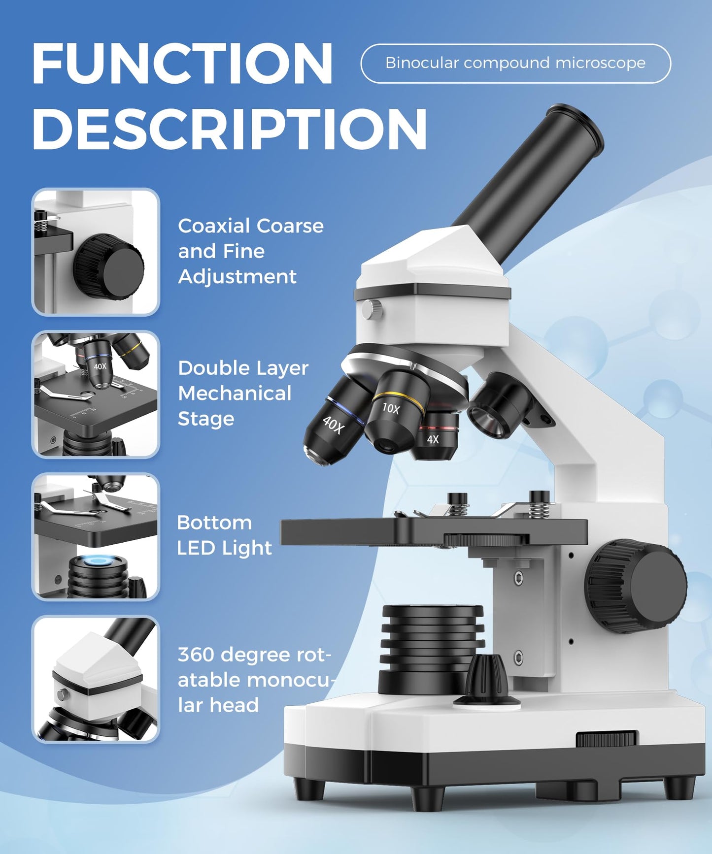 PalliPartners Compound Microscope for Adults & Kids - 100X-2000X High-Power Biological Microscope for Students, School Lab & Home Education, with Slides Set & Phone Adapter (White)