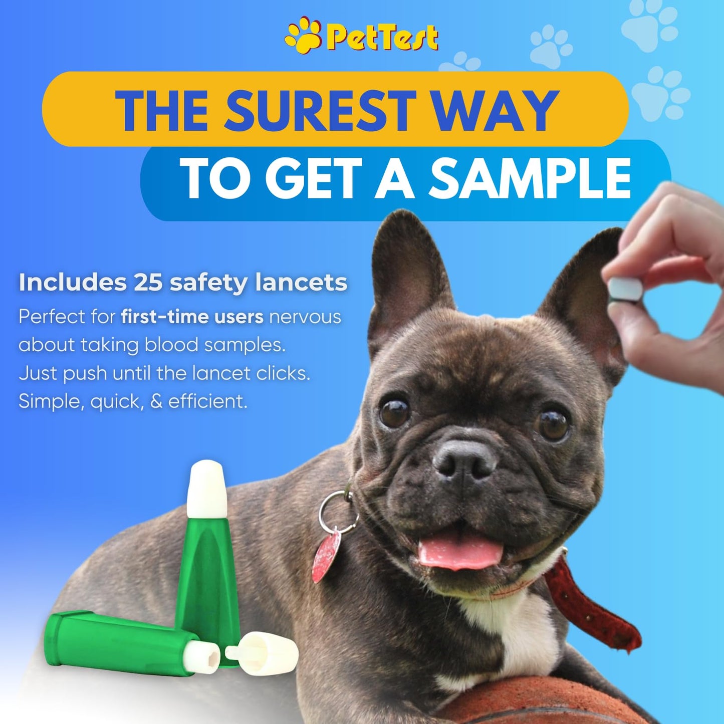 PetTest Beginner Glucose Monitoring Kit for Dogs & Cats, Diabetic Pet Blood Sugar Check Gear, Includes Classic Meter, 25 Test Strips, 25 Safety Lancets, Soft Carrying Case, and More