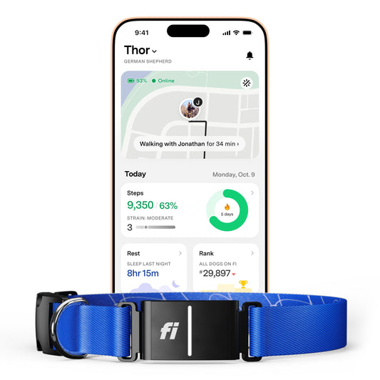 New Fi Series 3+ Smart Dog Tracker Collar – AI GPS for Dogs, Health & Behavior Monitor, Virtual Fence, Escape Alerts, Waterproof, Apple Watch Compatible 12Mo Membership Included