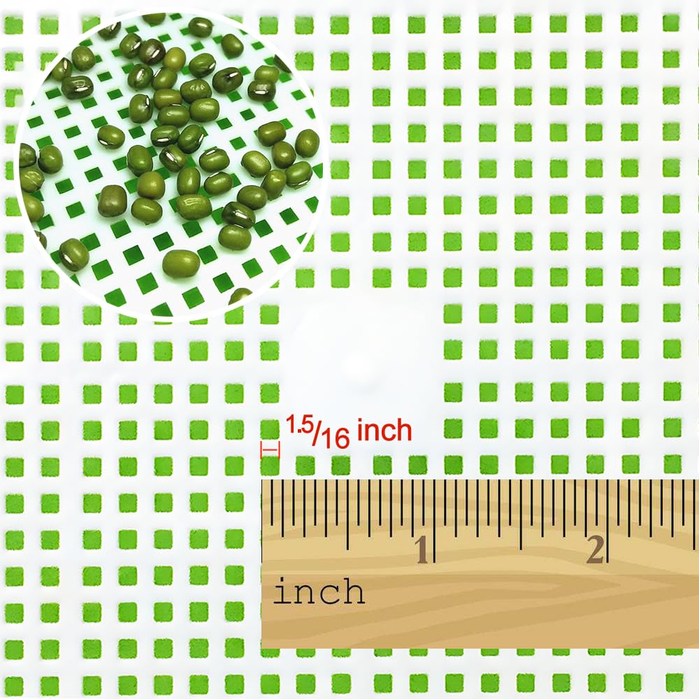 LeJoy Garden Seed Sprouter Tray BPA Free PP Soil-Free Big Capacity Healthy Wheatgrass Grower with Lid Sprouting Kit 13.4x9.84x4.72 inches