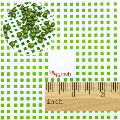 LeJoy Garden Seed Sprouter Tray BPA Free PP Soil-Free Big Capacity Healthy Wheatgrass Grower with Lid Sprouting Kit 13.4x9.84x4.72 inches