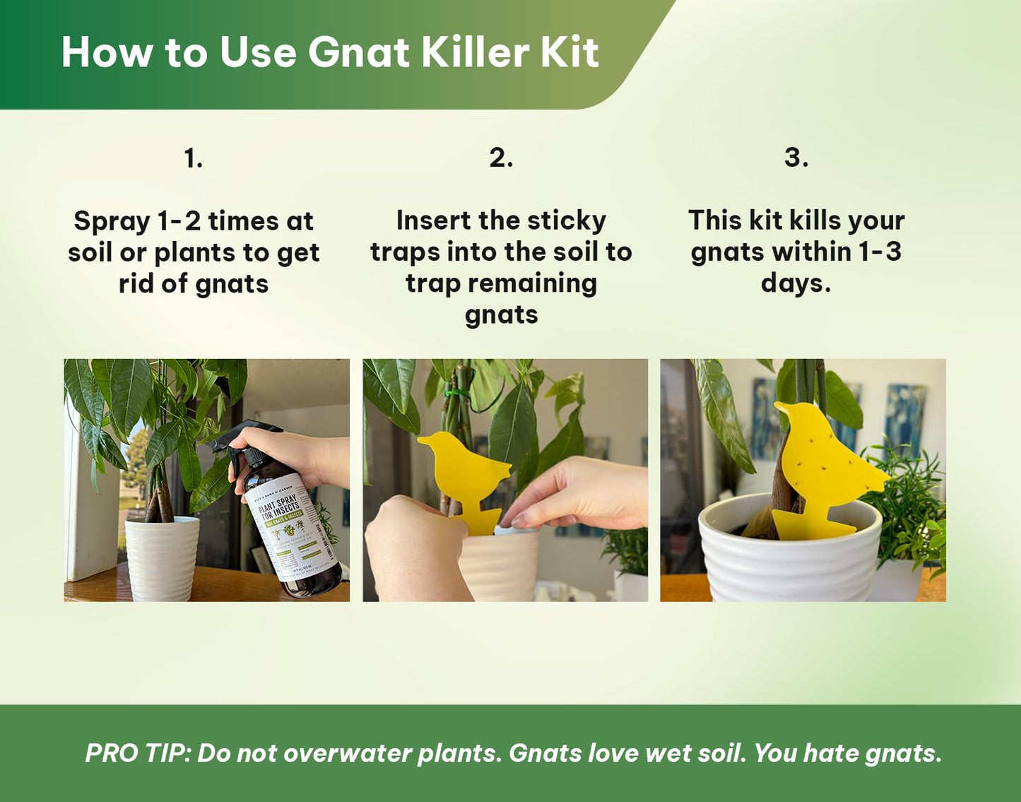Kate's Home & Garden Plant Spray for Insects & Getting Rid of Gnats with 12 Sticky Traps. Fungus Gnat Killer & Bug Spray for Indoor Plants (16oz, Pet Safe, Non Toxic)