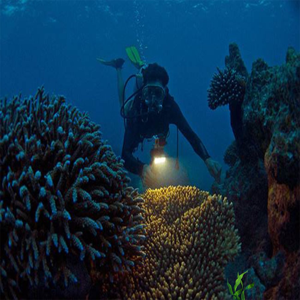 Suptig Underwater Light, Waterproof Light, Dimmable Waterproof (45m) LED Video Light for GoPro 13,11,10,9,8,7,6,5,4,3, DJI Action, Insta 360 Action Cameras