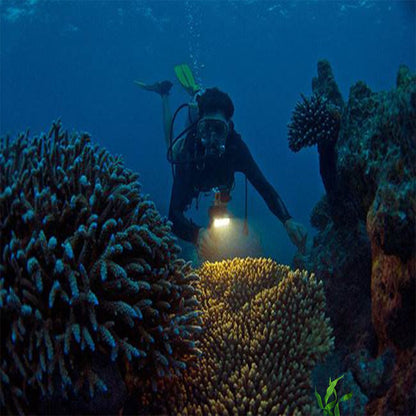 Suptig Underwater Light, Waterproof Light, Dimmable Waterproof (45m) LED Video Light for GoPro 13,11,10,9,8,7,6,5,4,3, DJI Action, Insta 360 Action Cameras