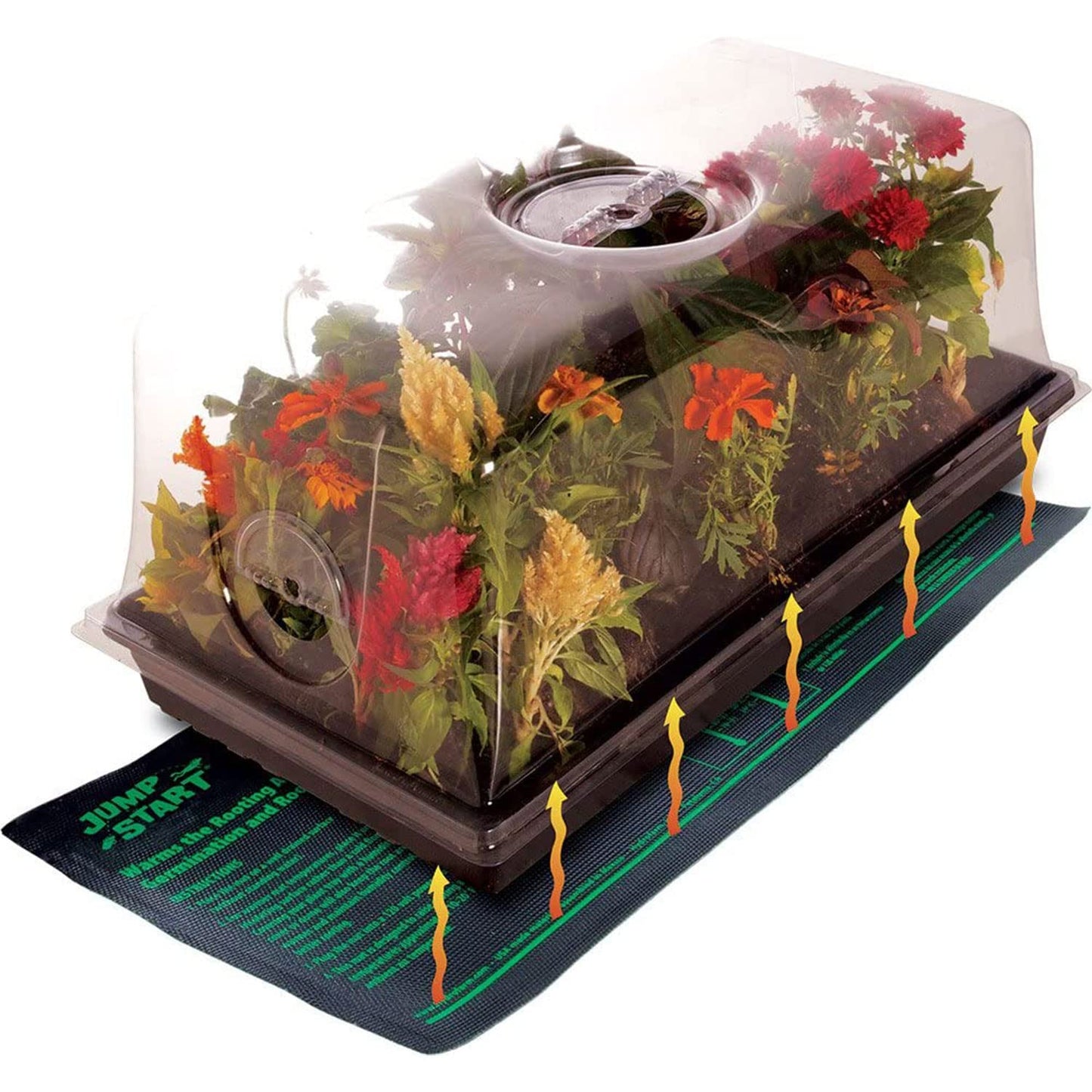 Jump Start CK64060 120V 17W Germination Hot House with Heat Mat, Watertight Tray, Cell Insert and 7" Humidity Dome