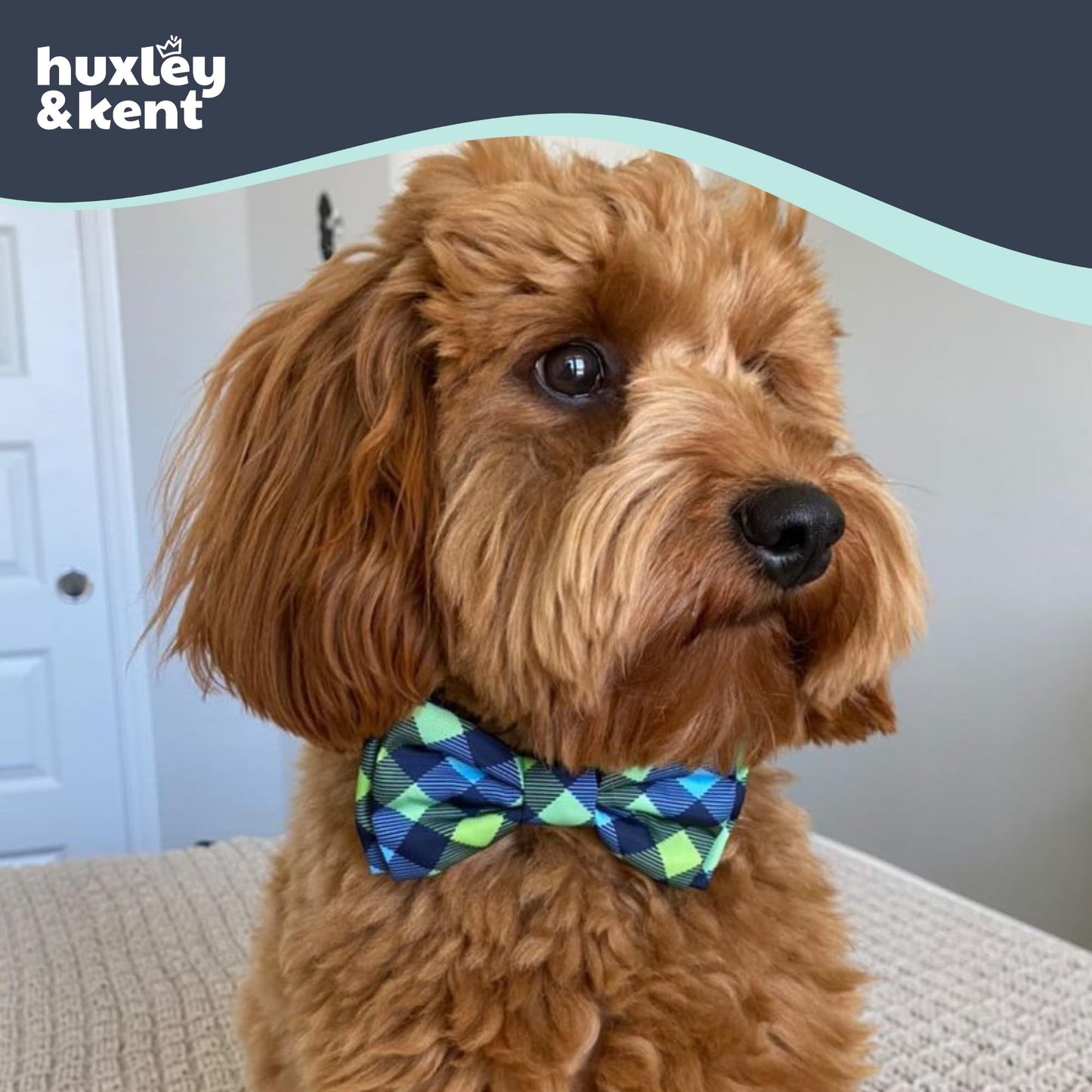 Huxley & Kent Pet Bow Tie for Dogs & Cats - Adjustable Collar Accessory - Cute & Comfortable for Holidays & Celebrations - Navy Check, Large