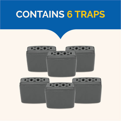 Hot Shot Flying Insect Trap, Discreet, Trap Attracts and Captures House Flies and Fruit Flies, 24/7 Continuous Attraction, No Plug-in Or Electricity Needed, 6 Count