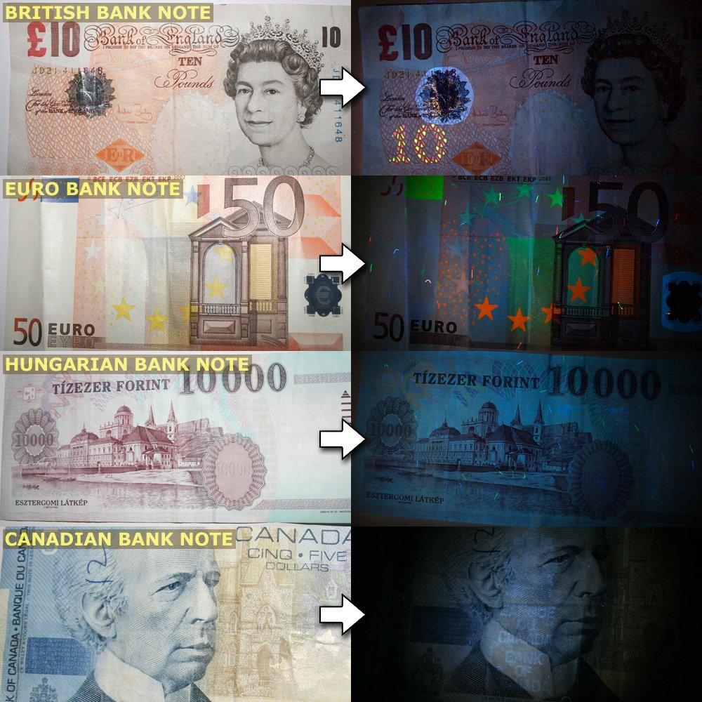 PeeDar 2.0 UV Pet Urine Detector Black Light LED Flashlight + Cat & Dog Behavior Guide. Ultra Bright Optimal 380-385NM Wavelength Finds Invisible Stains Instantly! Stop Pet Pee Issues Forever