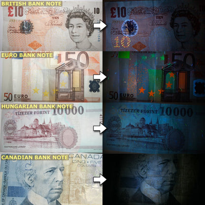 PeeDar 2.0 UV Pet Urine Detector Black Light LED Flashlight + Cat & Dog Behavior Guide. Ultra Bright Optimal 380-385NM Wavelength Finds Invisible Stains Instantly! Stop Pet Pee Issues Forever