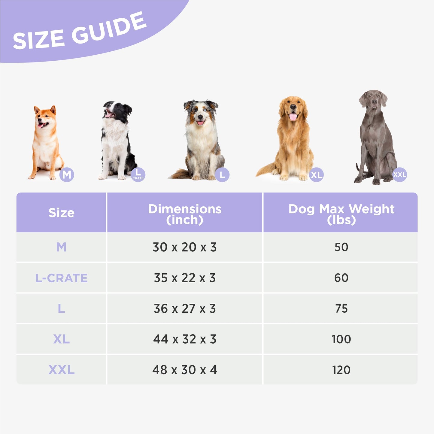 LE SURE Outdoor Waterproof Dog Beds Large Sized Dog, Orthopedic Egg Crate Foam Pet Bed with Oxford Fabric Surface and Removable Washable Cover, Pet Mat 36''x27'', Green