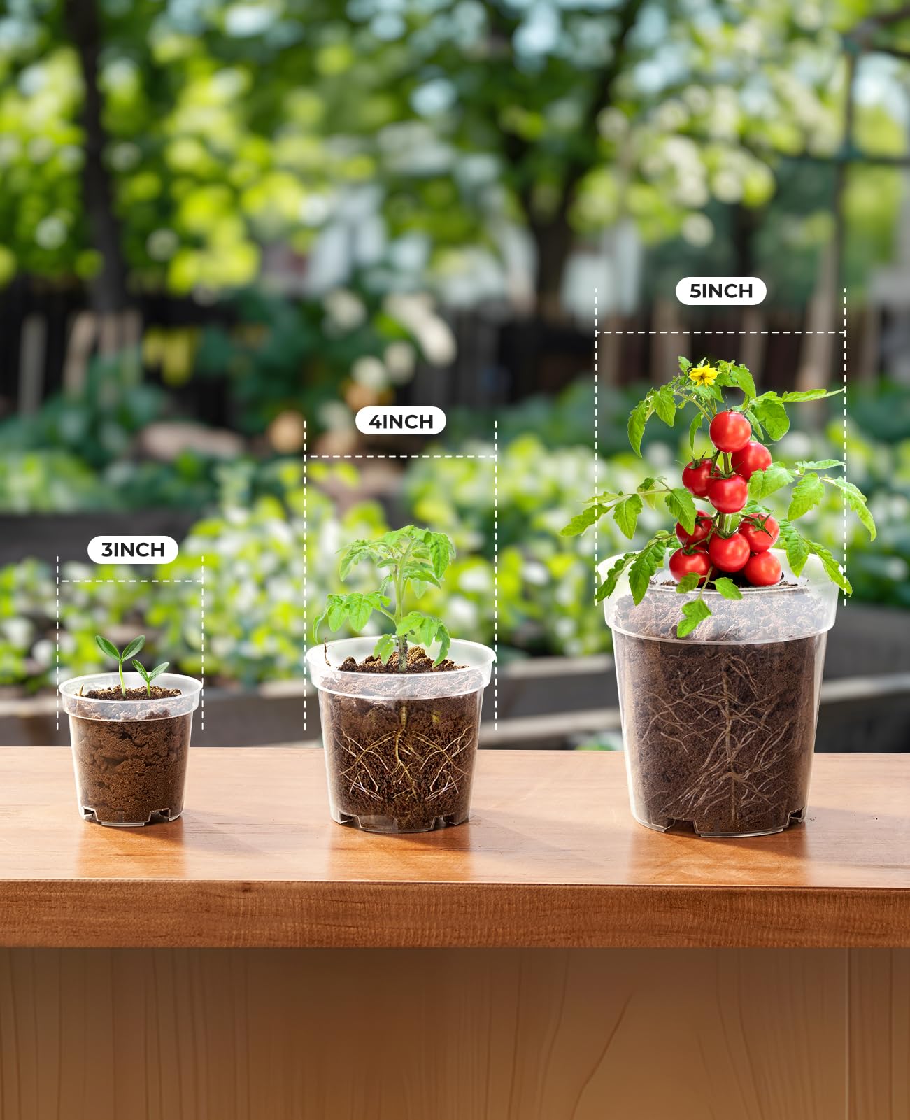 homenote Clear Nursery Pots for Plant,3/4/5 Inch Plant Pot for Planting Plastic Seedling with Drainage Holes Seed Starter Flower High Transparency 20 Labels Excellent Hardness(30 Pack)