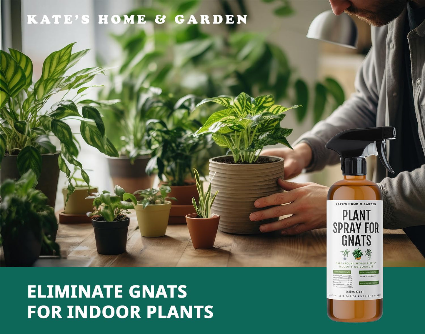 Kate's Home & Garden Plant Spray for Insects & Getting Rid of Gnats with 12 Sticky Traps. Fungus Gnat Killer & Bug Spray for Indoor Plants (16oz, Pet Safe, Non Toxic)