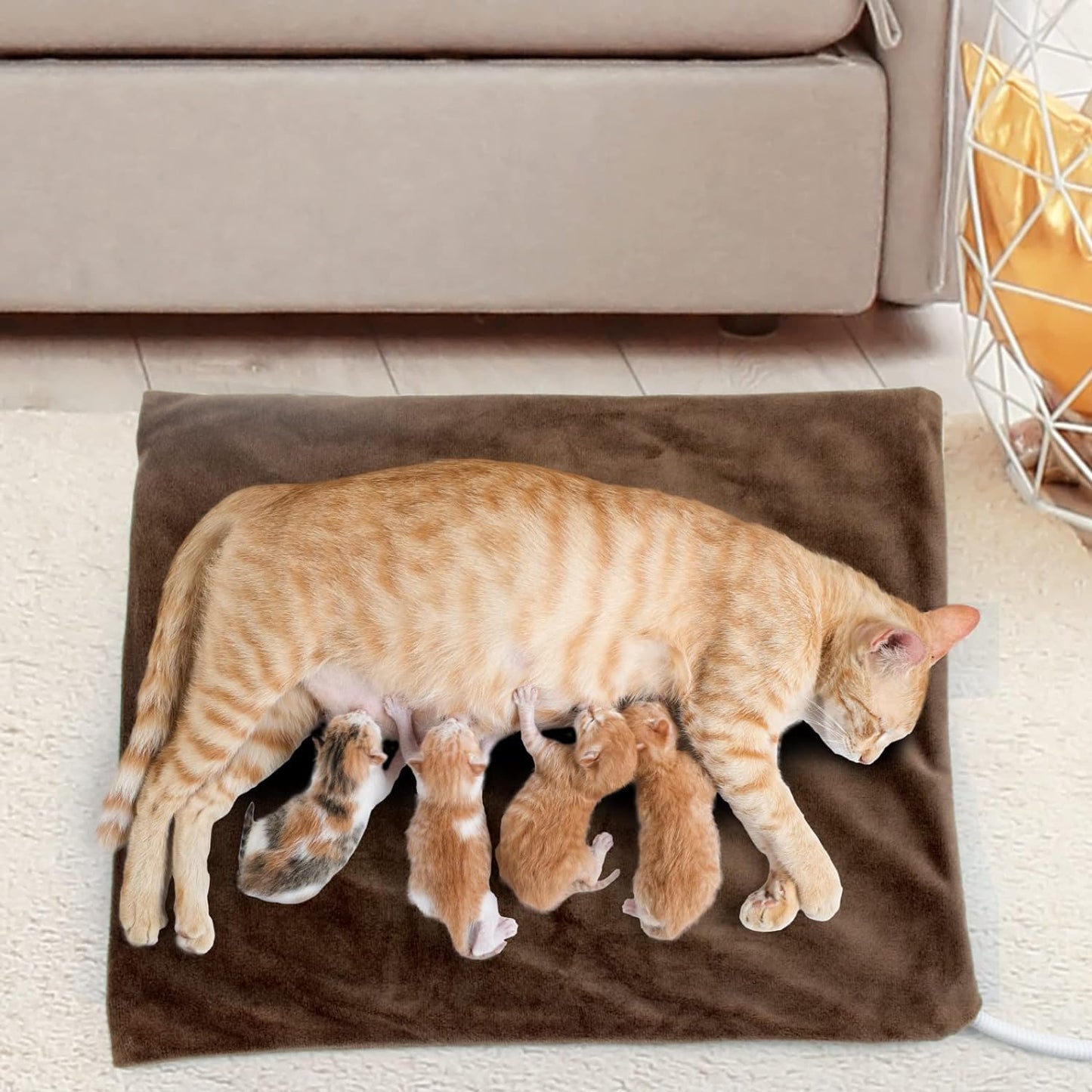 NAMOTEK Pet Heating Pad, Safe Electric Heating Pad for Dogs and Cats Indoor Warming Pad with Auto Constant Temperature 15.7" x 12"