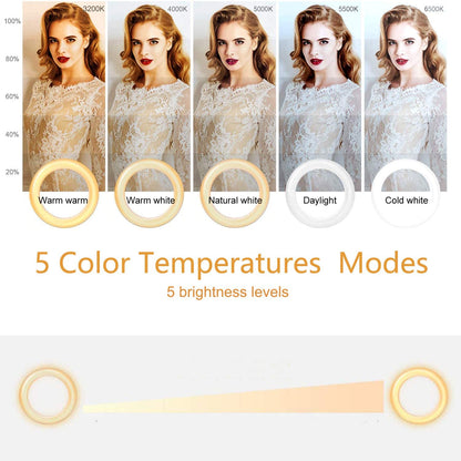 Ring Light Video Conference Lighting Kit 3200k-6500K Dimmable Led Clip on Computer Monitor Laptop Phone for Content Creator (YouTube/TikTok/Twitch) Makeup,Conference,Selfie,Video,Vlog (Black)