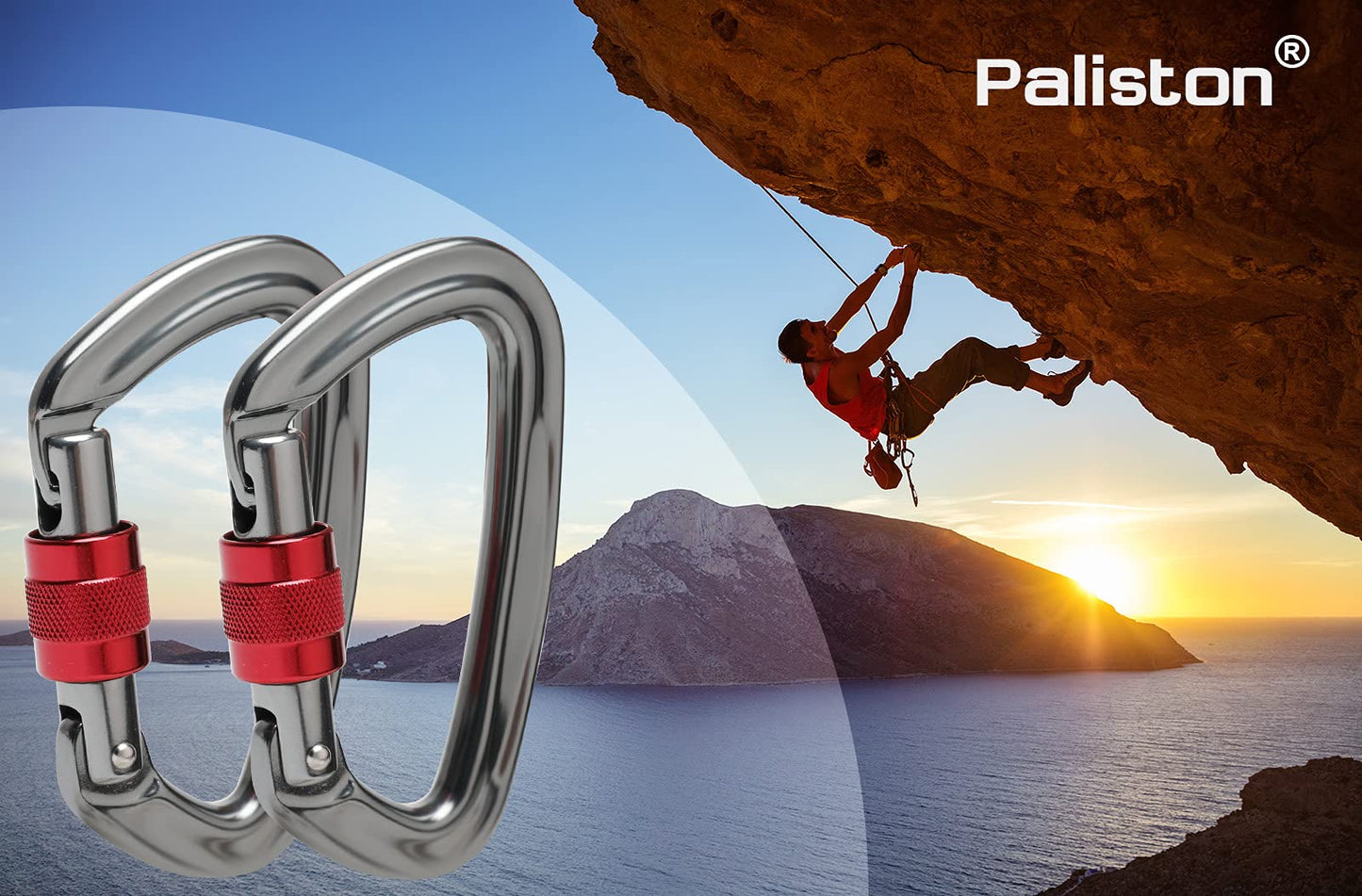 Locking Carabiner - 25kN 5600lb Climbing Carabiner Screw Gate D Shape Carabiner Silver (Pack of 5)