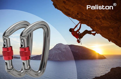 Locking Carabiner - 25kN 5600lb Climbing Carabiner Screw Gate D Shape Carabiner Silver (Pack of 5)