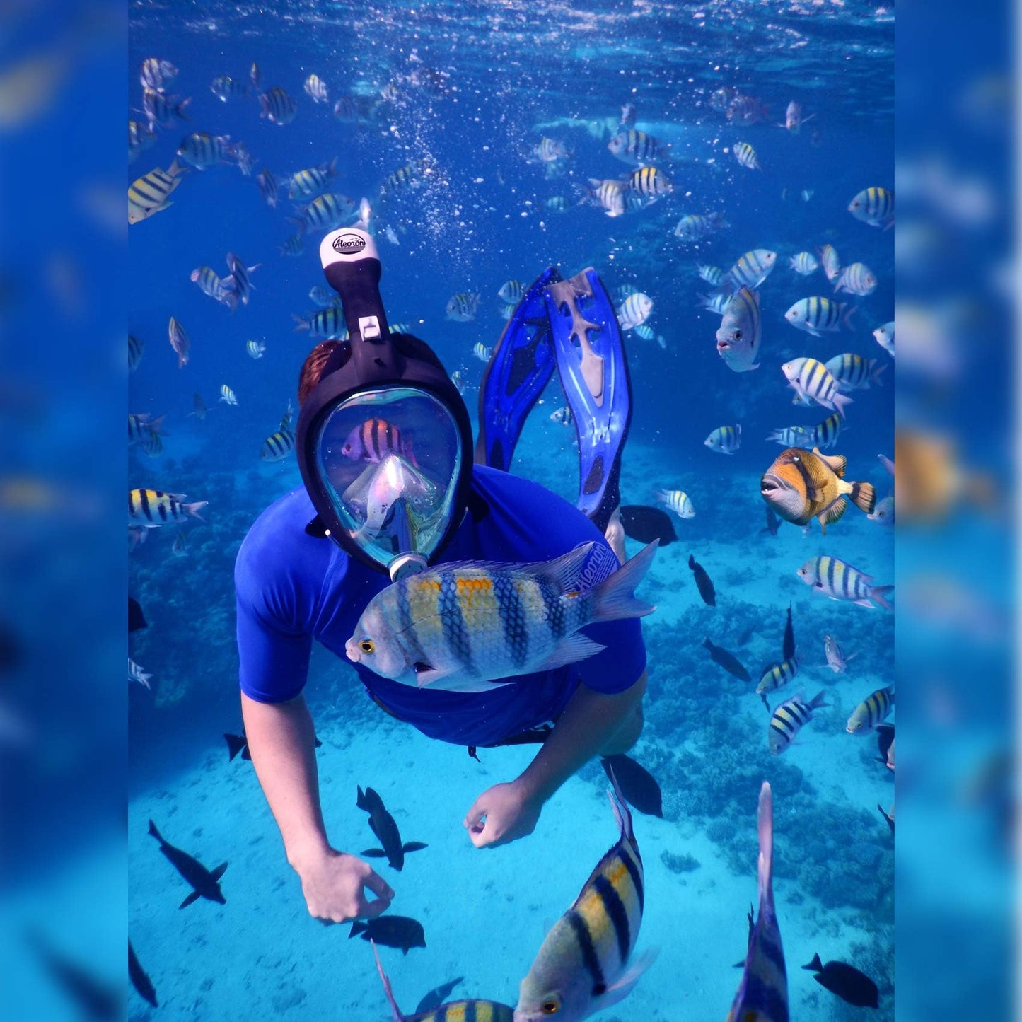 Aleoron - Foldable Snorkel Mask Full Face for Adults - Latest Dry Top System 180 Panoramic Snorkeling Mask with Camera Mount Safe Breathing Anti Fog