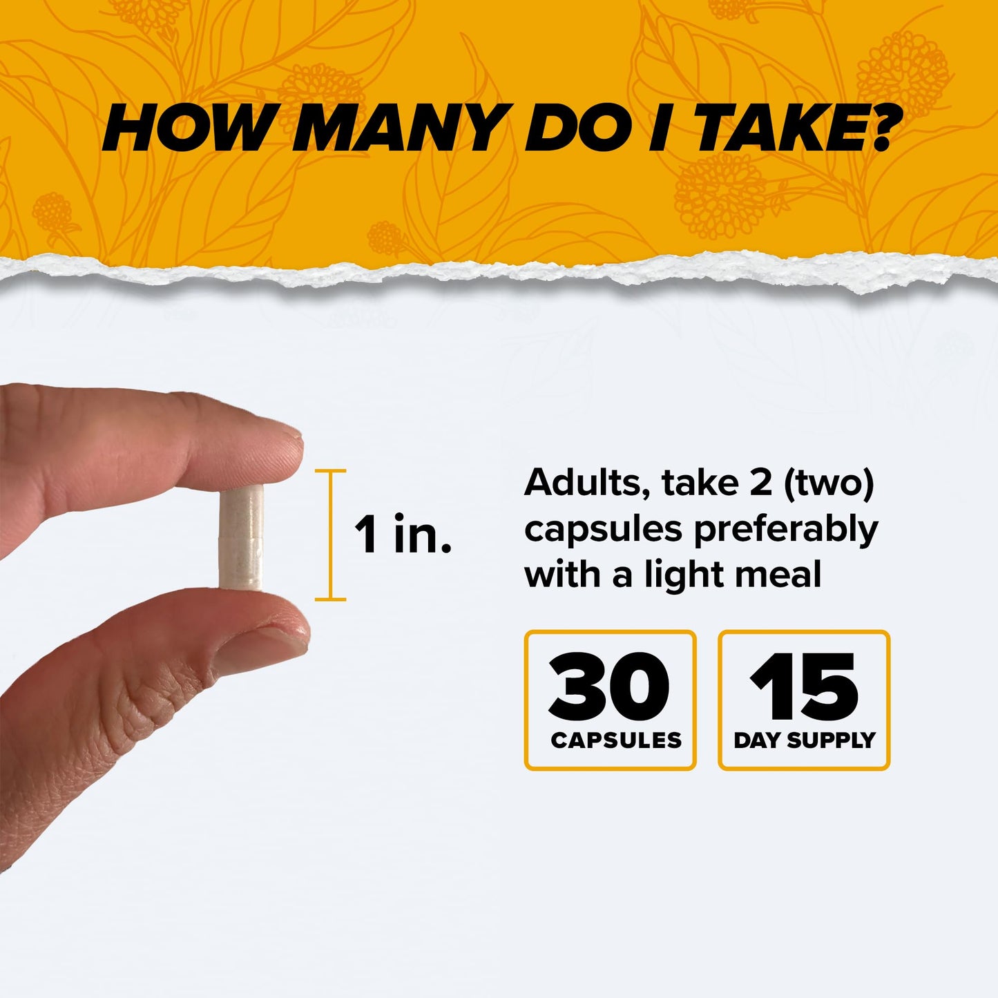 ONNIT Alpha Brain Nootropic Brain Supplement for Men & Women | Memory, Mental Clarity & Cognitive Improvement | Focus Capsules with L-Theanine, Vitamin B6 & Phosphatidylserine (30 Count)