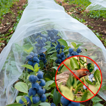GonLei Garden Netting 10 X 50 FT Ultra Fine Netting for Garden Protection,Garden Netting for Raised Beds,Mosquito Net for Blueberry Shrubs Vegetables Fruits Flowers Crops Pest Barrier