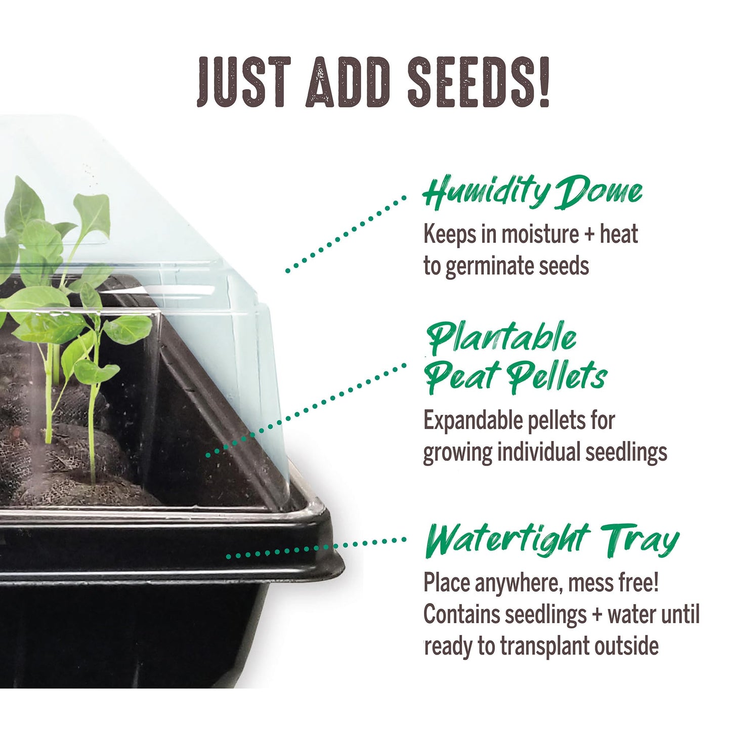 Ferry Morse Jiffy Seed Starting Greenhouse Tray Kit with 72 36mm Peat Pellets and Bonus SUPERthrive Sample + Plant Markers, 2 Pack, 144 Pellets Total