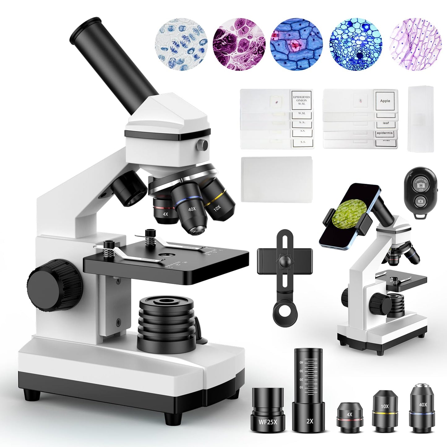 PalliPartners Compound Microscope for Adults & Kids - 100X-2000X High-Power Biological Microscope for Students, School Lab & Home Education, with Slides Set & Phone Adapter (White)