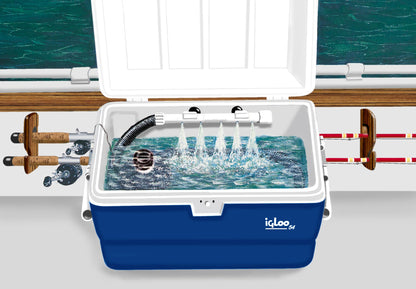 Marine Metal SS-212 Super Saver Live Well Bait System & Aerator Kit (12 Volt)