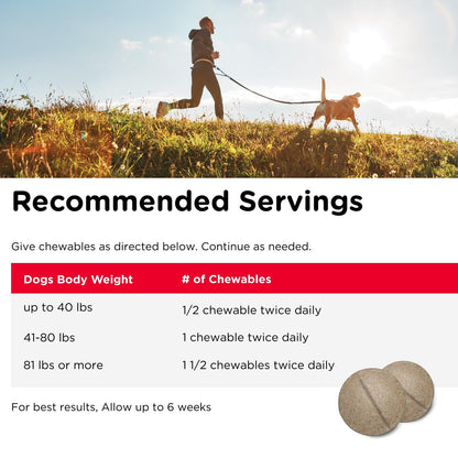 Nutri-Vet Hip & Joint Regular Strength Chewable Dog Supplements, Formulated with Glucosamine Chondroitin, Pet Supplies, Joint Supplement for Dogs, Puppy Essentials, 120 Count