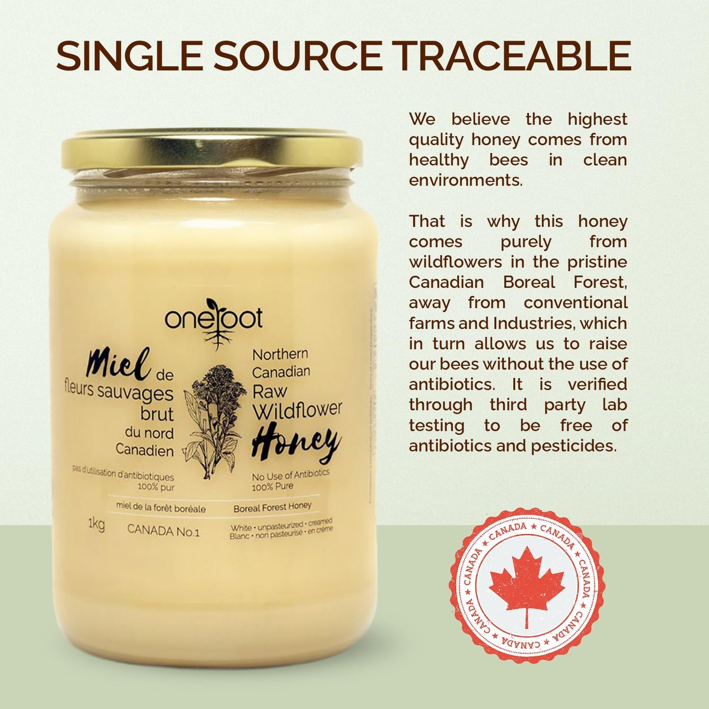 Oneroot 100% Canadian Flower Honey - 1kg / 2.2lbs, Honey Wildflower Unfiltered, Unheated & Creamed, Nutrient Rich Raw Wildflower With Enzymes, Thick Natural Sweetener