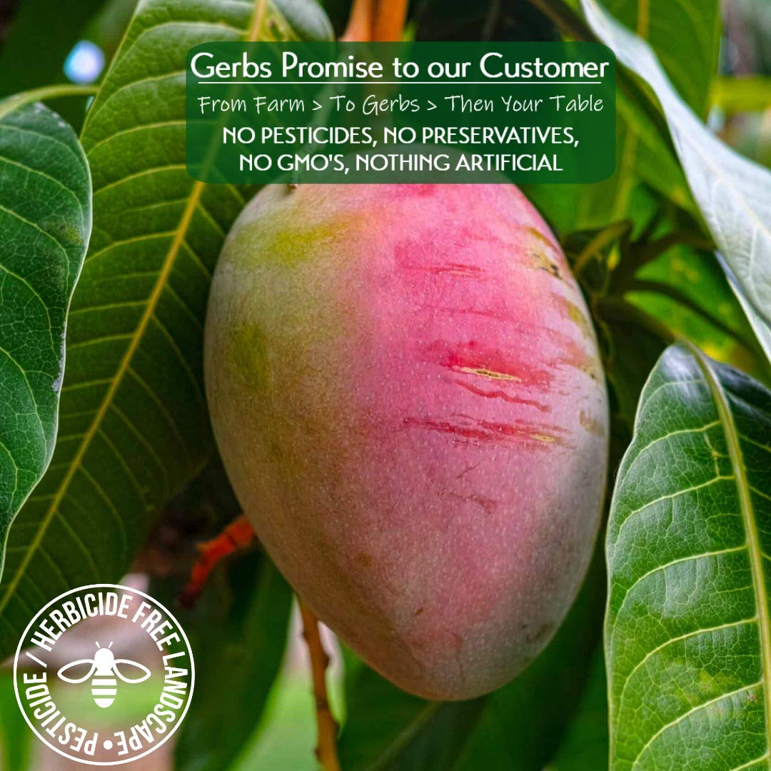 Gerbs Sweetened Dried Mango Slices 2 lbs. | Unsulfured, No Additives, Resealable Bag | Naturally Chewy & Sweet | Top 14 Allergen-Free