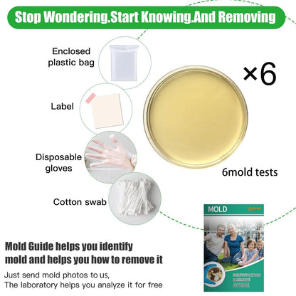 Mold Test Kit for Home Within 6 Individual Tests,DIY Detector at Home,Surface Mold,HVAC,Indoor Air Quality Testing Kits,Black Mold Testing,Includes Detailed Mold Identification Guide and Free Lab